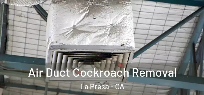 Air Duct Cockroach Removal La Presa - CA