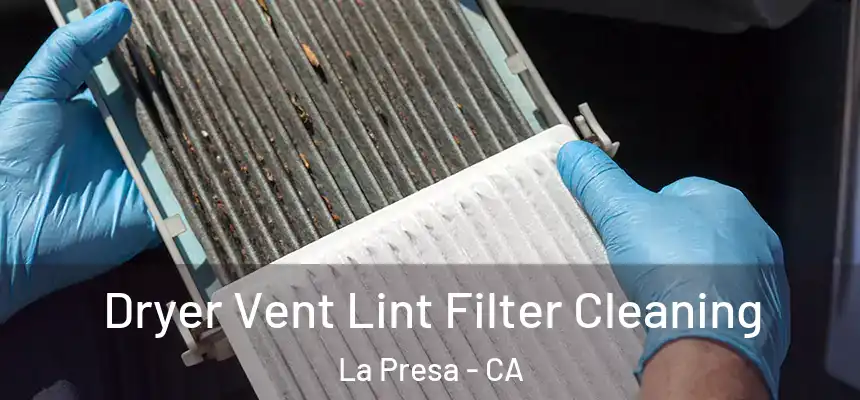  Dryer Vent Lint Filter Cleaning La Presa - CA