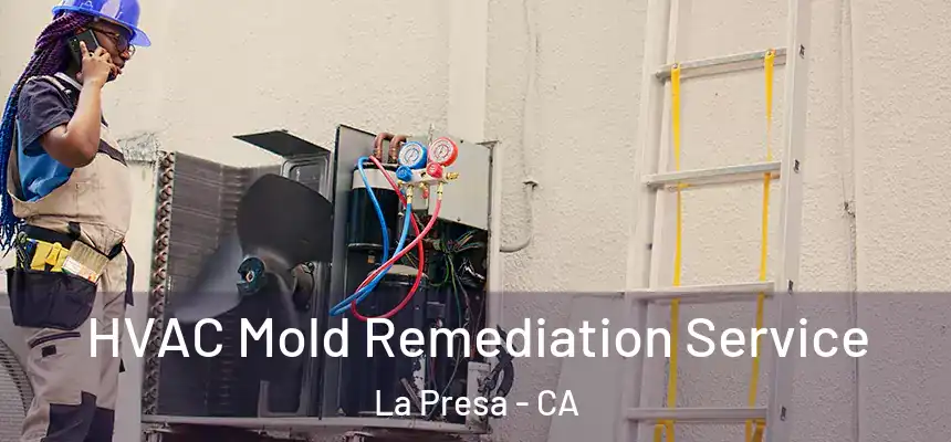 HVAC Mold Remediation Service La Presa - CA
