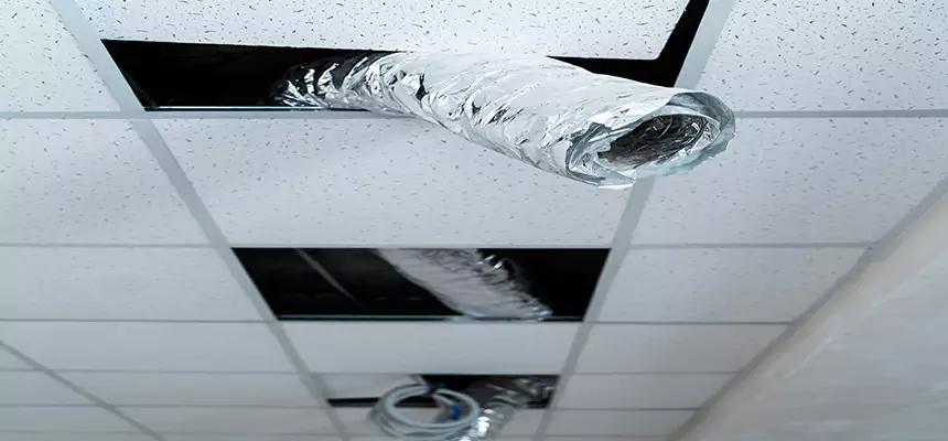 Affordable HVAC Sanitizing After Pest Removal in La Presa