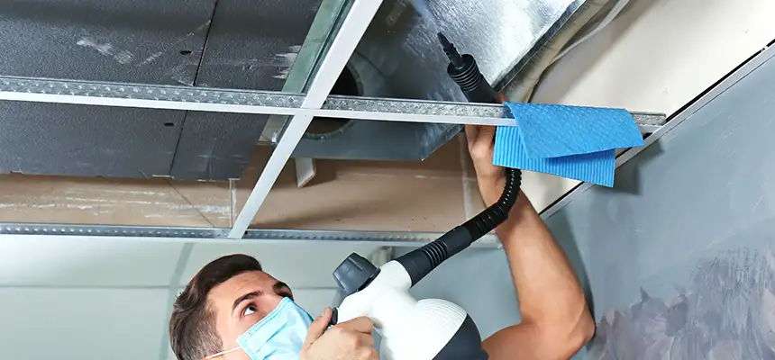 Our Air Duct Rodent Removal Services in La Presa, CA