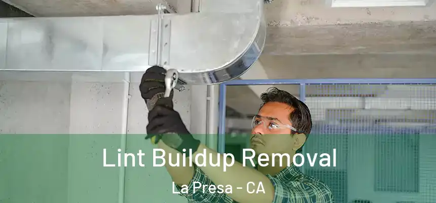  Lint Buildup Removal La Presa - CA