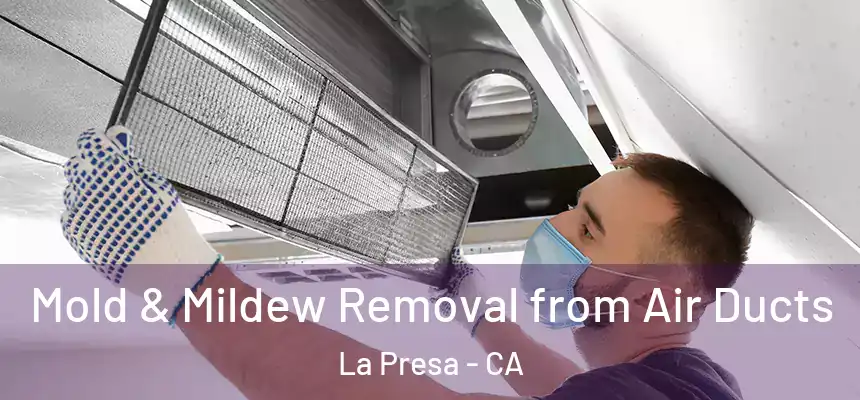  Mold & Mildew Removal from Air Ducts La Presa - CA