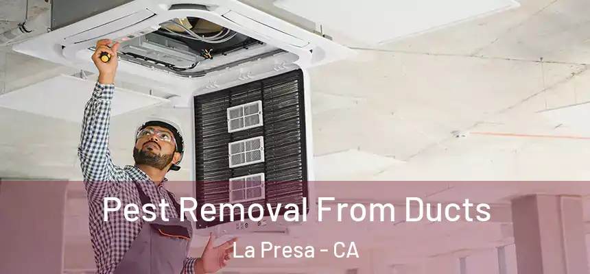 Pest Removal From Ducts La Presa - CA