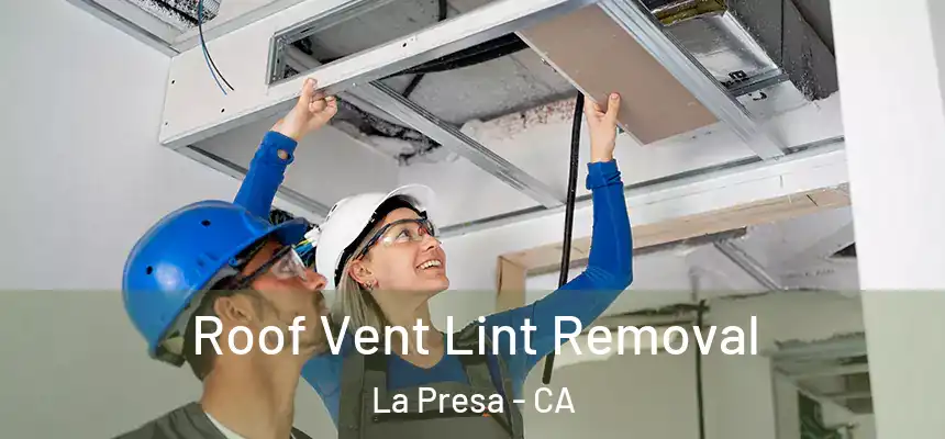 Roof Vent Lint Removal La Presa - CA