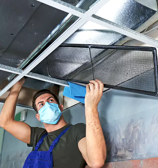 Professional Air Duct Pollen Cleaning in La Presa, CA