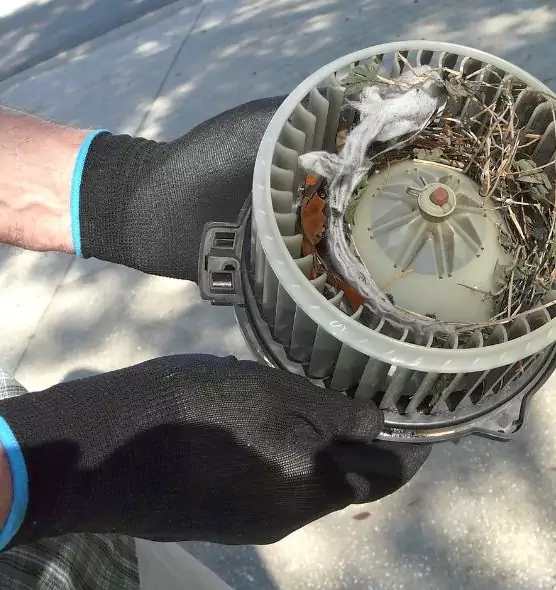 About Air Duct Rat Removal in La Presa, CA