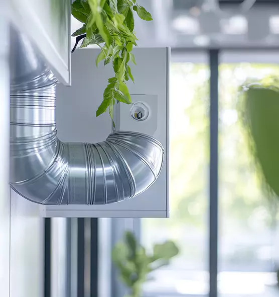 Professional Eco-Safe Dryer Vent Cleaning in La Presa, CA