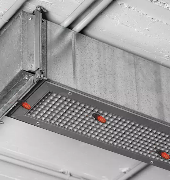 Affordable Insect Removal from Air Ducts in La Presa, CA