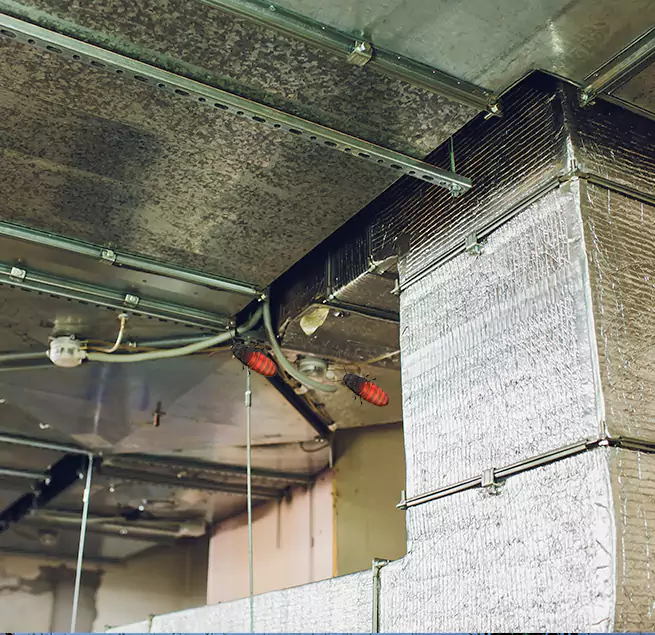 Why Homeowners & Businesses Trust Us in La Presa, CA?