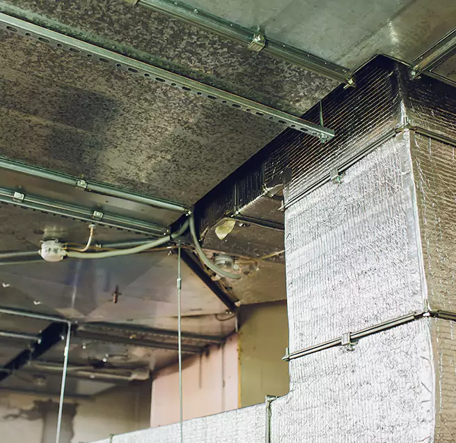 Why Homeowners & Businesses Trust Us in La Presa, CA?